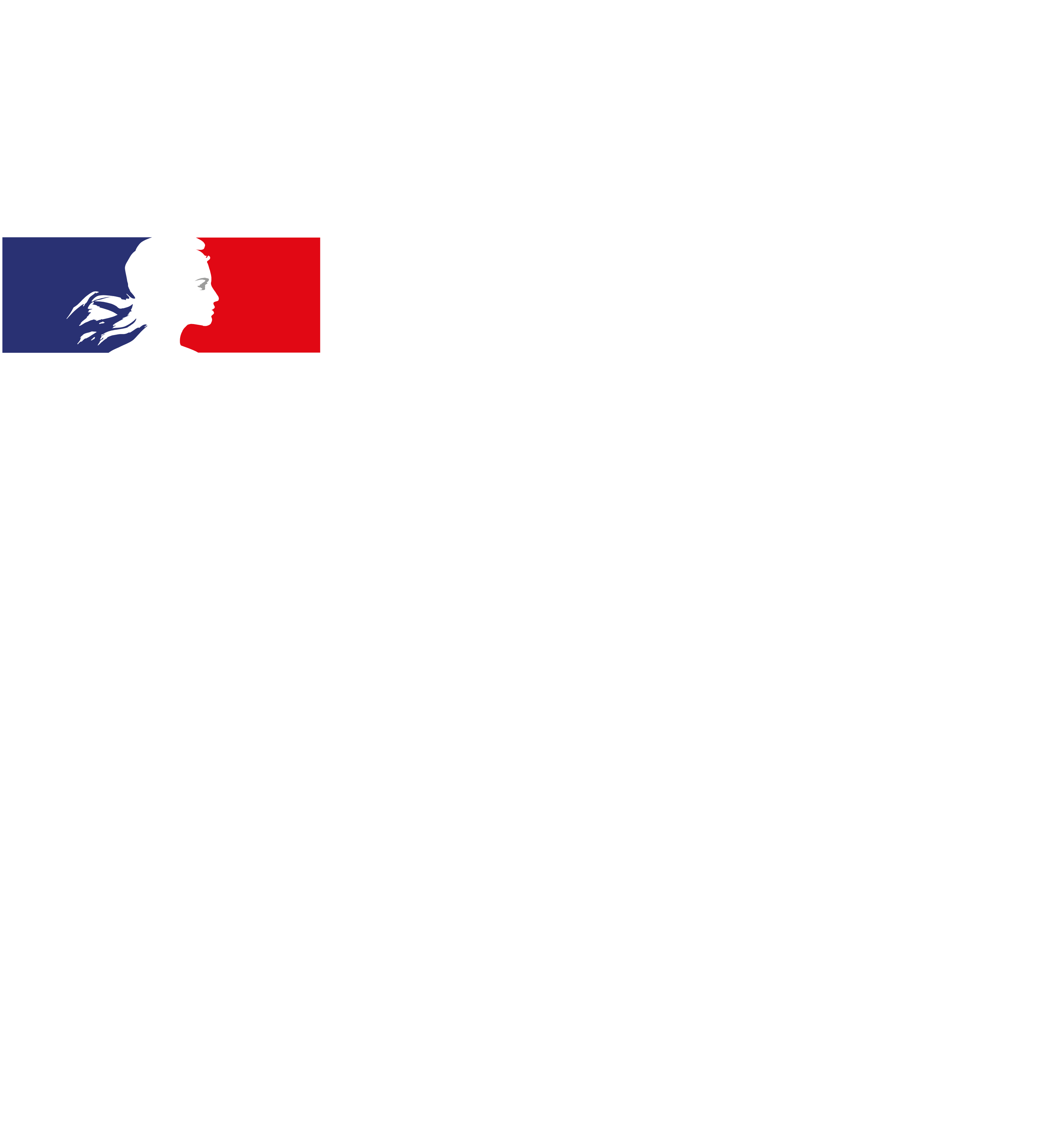 French Gov